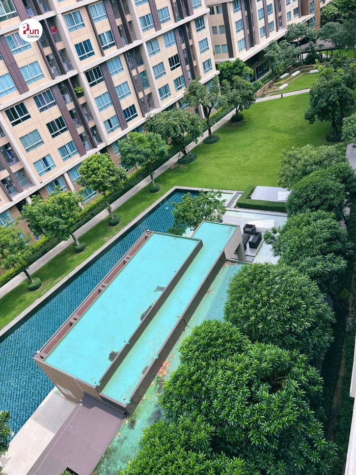picture dcondo Campus resort -Rangsit for rent. - 10/11