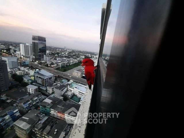 รูป คอนโด สตูดิโอ ที่ ลุมพินีเพลส ปิ่นเกล้า 2 ใกล้ MRT บางยี่ขัน (ID 1398549) - รูปที่ 12/15