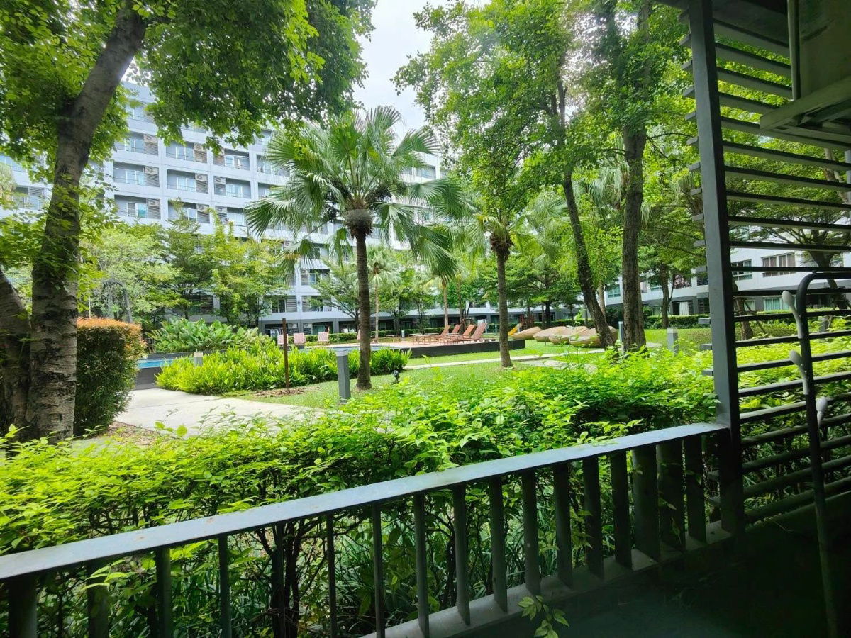 picture Condo for rent Elio Del Ray, Studio - 7/7