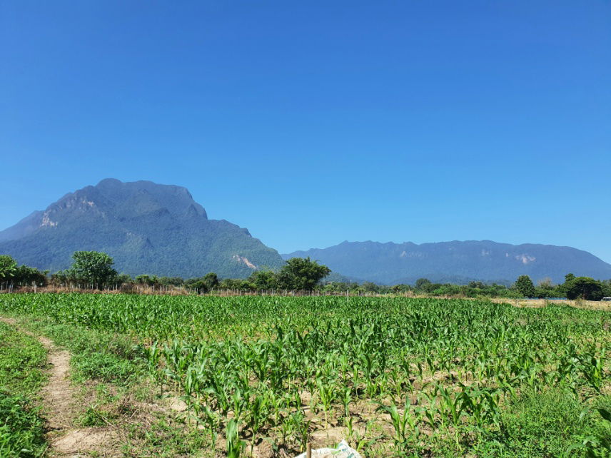 picture Land in Chiang Mai with Beautiful Mountain View - 2/8