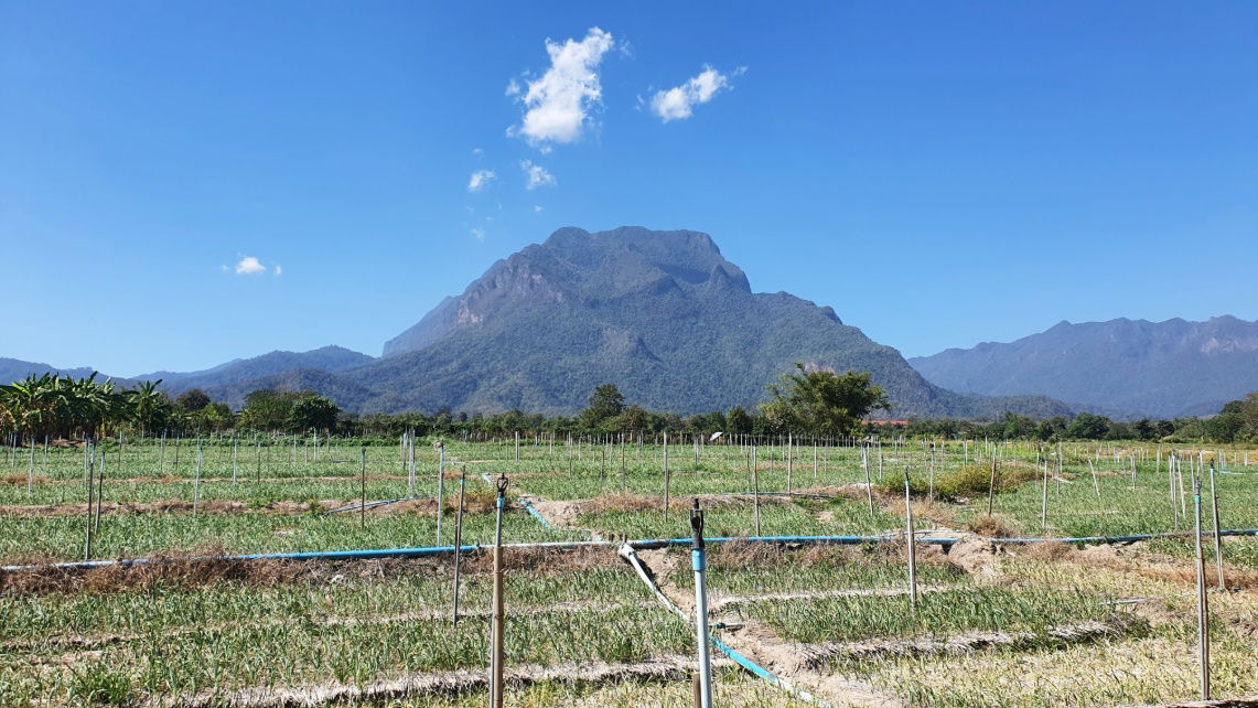 picture Land in Chiang Mai with Beautiful Mountain View - 1/8