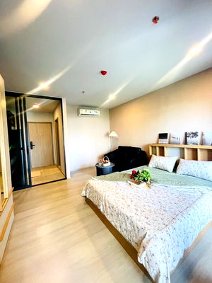 Condos for rent BTS On Nut : Aspire Onnut Station 1 bed for rent