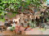 listing thumbnail image 8