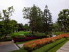 listing thumbnail image 25
