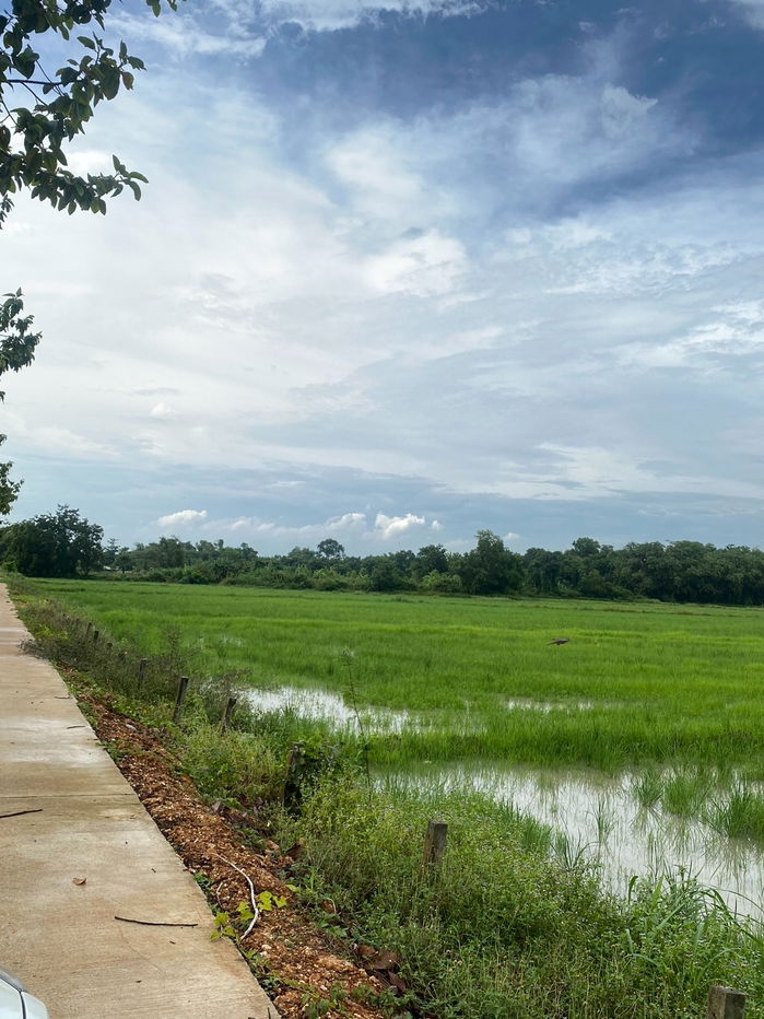 รูป ขายที่นา 5 ไร่ 1 งาน ต.เมืองใหม่ อ.ราชสาส์น จ.ฉะเชิงเทรา เหมาะกับทำการเกษตร - รูปที่ 4/7