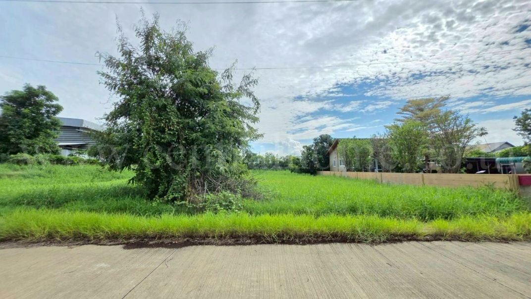 รูป ที่ดินเปล่า 98 ตร.วา ต้นโครงการ เดอะลากูน 1-2 สามโคก ปทุมธานี  - รูปที่ 5/14