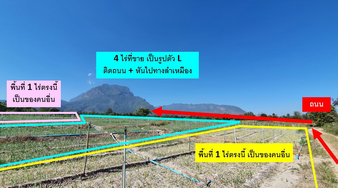 picture Land in Chiang Mai with Beautiful Mountain View - 3/8