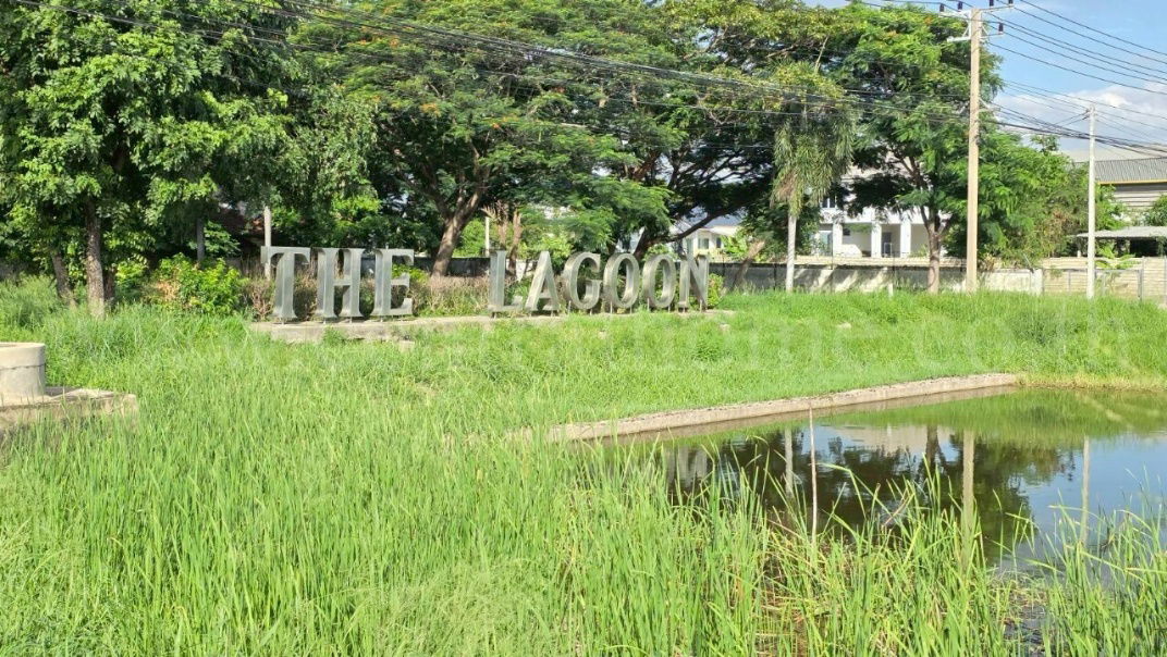รูป ที่ดินเปล่า 98 ตร.วา ต้นโครงการ เดอะลากูน 1-2 สามโคก ปทุมธานี  - รูปที่ 10/14