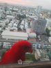 listing thumbnail image 14