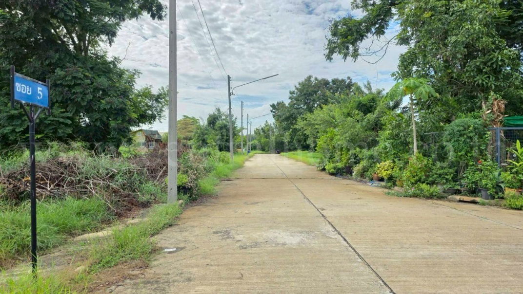 รูป ที่ดินเปล่า 98 ตร.วา ต้นโครงการ เดอะลากูน 1-2 สามโคก ปทุมธานี  - รูปที่ 13/14