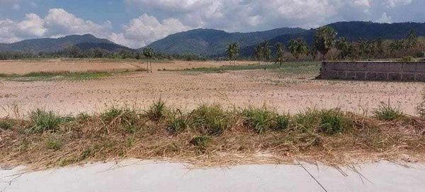 picture Yellow-Zoned Land for Residential or Mixed Use | 243 Rai | THB 2.5M per Rai | Khao Khansong, Si Racha, Chonburi Property Code: 68129 - 8/11