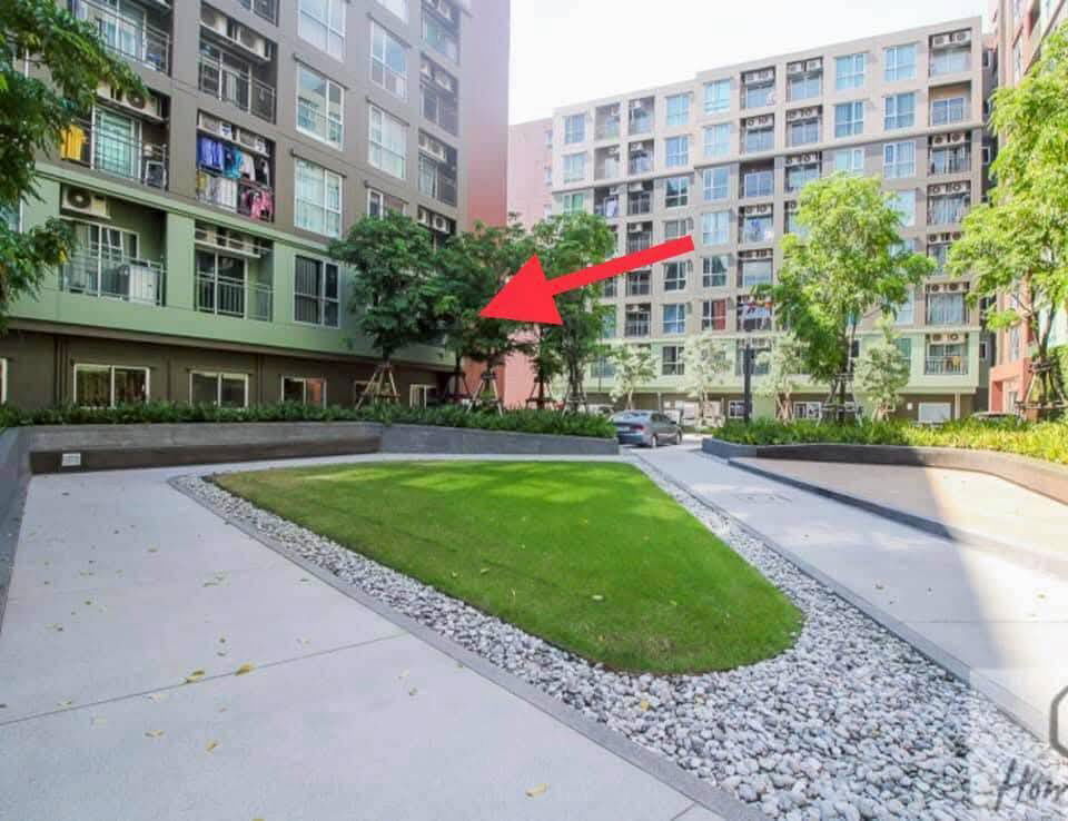 picture R2558 Condo For Rent Lumpini Place Bangna Km.3 - 11/12