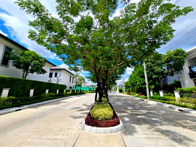 บ้านเดี่ยว บางใหญ่ นนทบุรี : บ้านเดี่ยวโซนส่วนตัว ใกล้สวนส่วนกลาง คลับเฮ้าส์ ที่ดินเยอะ เศรษฐสิริ ราชพฤกษ์-นครอินทร์ ไม่รีบไม่ได้แล้วววว