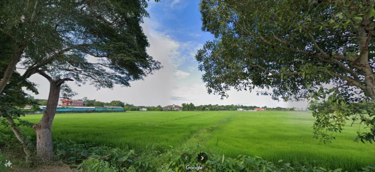 picture For Sale: Prime Land Location Across from Pong Prabat Hot Springs Wide Frontage, Roadside Property Near the City Center - 3/4