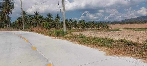 picture Yellow-Zoned Land for Residential or Mixed Use | 243 Rai | THB 2.5M per Rai | Khao Khansong, Si Racha, Chonburi Property Code: 68129 - 6/11
