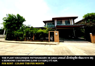 เช่าบ้านเดี่ยว พัฒนาการ 44 : [ให้เช่า] หมู่บ้าน เดอะ แพลนท์ เอ็กซ์คลูซีค พัฒนาการ / 4 ห้องนอน 5 ห้องน้ำ / 114 ตรว. 375 ตรม. **120,000** บ้านเดี่ยวหลังมุมโครงการหรู ใกล้ทองหล่อ