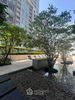 listing thumbnail image 21
