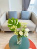 listing thumbnail image 3