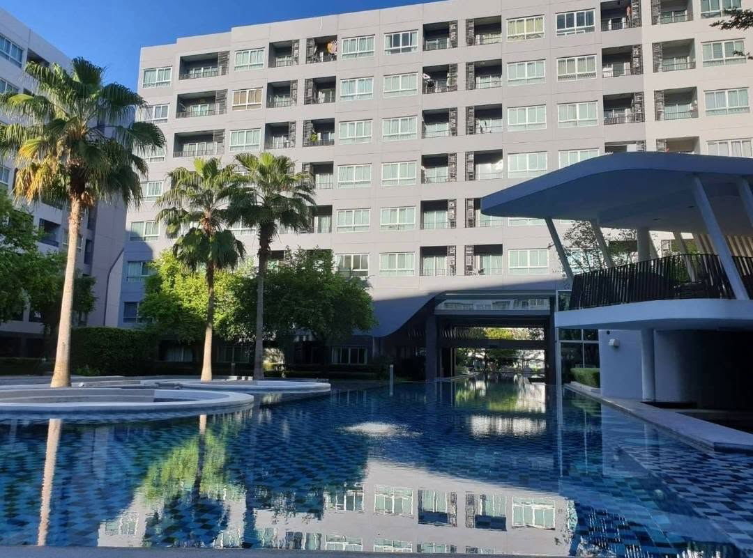 picture #SC7228​​ 📌 Rent | 🟦🟨Elio Del Ray​🟥🟩💬𝑪𝒐𝒏𝒕𝒂𝒄𝒕𝑳𝑰𝑵𝑬:@𝒔𝒆𝒄𝒓𝒆𝒕𝒑𝒓𝒐𝒑𝒆𝒓𝒕𝒚 🔥✨       - 5/6