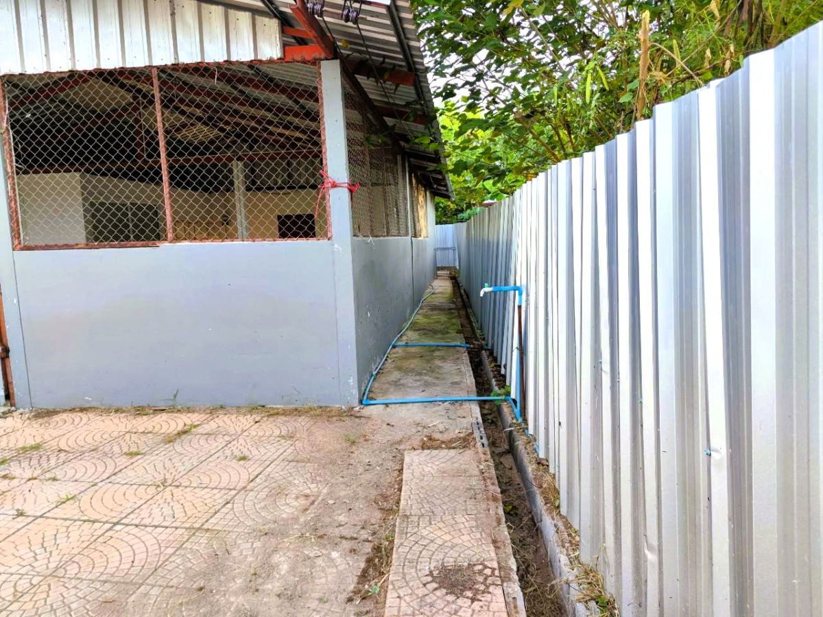รูป บ้านเช่าเดี่ยวใจกลางบ้านไผ่  จอดรถได้ 3 คัน  เลี้ยงสัตว์ได้ - รูปที่ 15/26