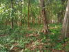 listing thumbnail image 10