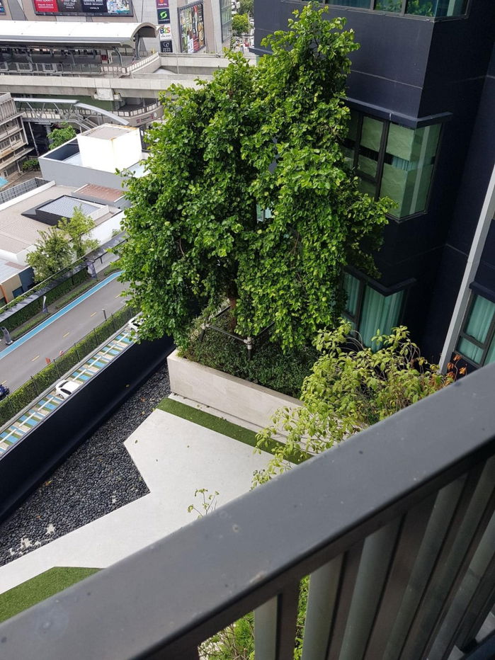 picture Rent/Sale – Life Ladproa  (Building A) - 8/15