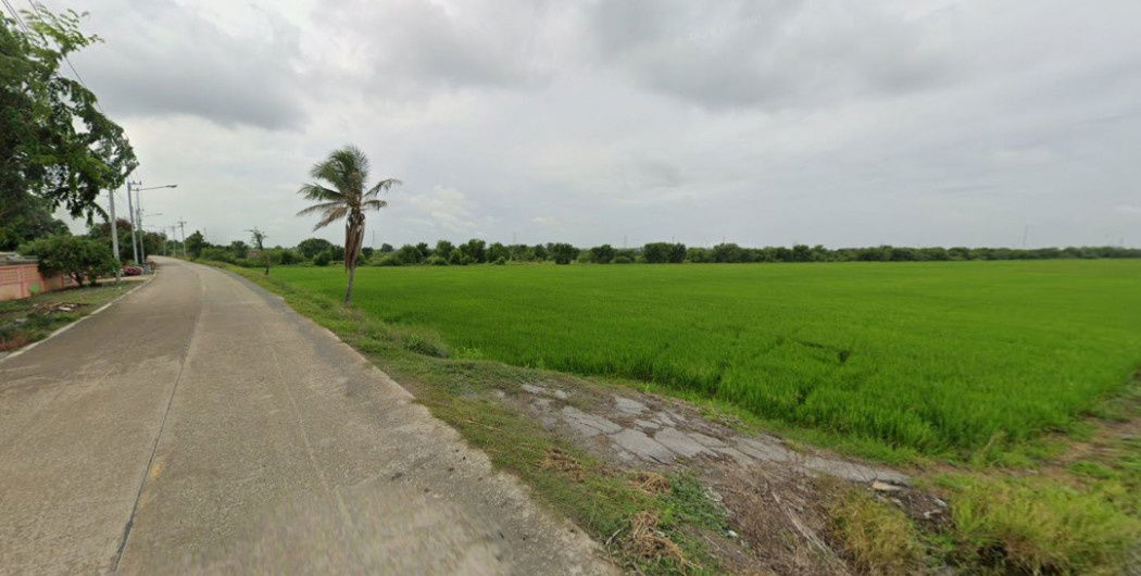 รูป ขาย ที่ดิน ผังสีเขียว ปทุมธานี ลาดหลุมแก้ว ระแหง 45 ไร่ 40 ตรว - รูปที่ 2/2