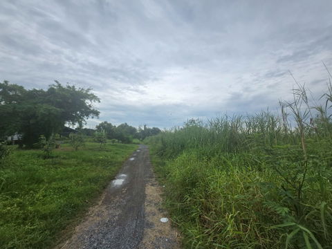 sss501 ขายที่ดิน คลอง 1รังสิต ใกล้โรงเรียนจารุศรณ์