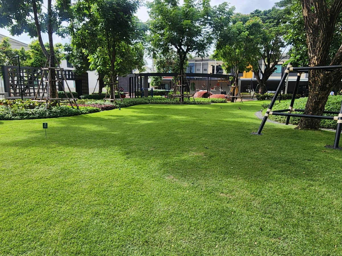 รูป 🏡ขายบ้านใหม่ พร้อมเฟอร์นิเจอร์ (โครงการเลี้ยงสัตว์ได้) สิริ เพลส พหลโยธิน 52 📍ใกล้ BTS สะพานใหม่ - รูปที่ 2/7