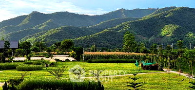 Land for sale Mae Ai Chiang Mai : 9,600 m² Land for Sale in Tha Ton (ID 2217327)