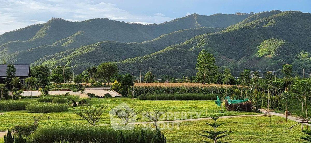 picture 9,600 m² Land for Sale in Tha Ton (ID 2217327) - 1/4