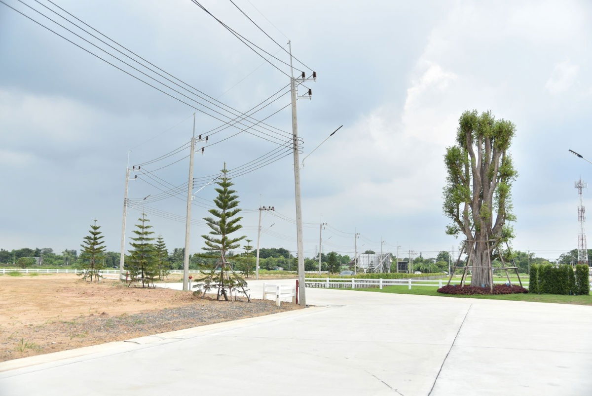 รูป (ขาย) ที่ดินแบ่งขาย สร้างโรงงานในโครงการลำลูกกา คลอง 8 สาธารณูปโภคครบ ใช้งานได้ทันที ไม่ต้องเดินระบบเอง - รูปที่ 4/4