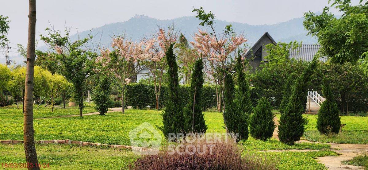 picture 9,600 m² Land for Sale in Tha Ton (ID 2217327) - 3/4