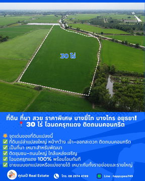ที่ดิน ที่นา บางไทร อยุธยา! สวย ราคาพิเศษ 📍 ขนาด 30 ไร่ โฉนดครุฑแดง ติดถนนคอนกรีต 🔥 ขายถูกที่สุดในย่านนี้ 
