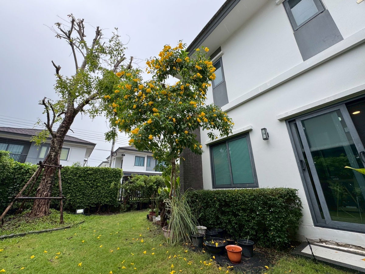 รูป ขายและเช๋า บ้านเดี่ยว บริทาเนีย บางนา กม.12 4ห้องนอน 2จอดรถ พื้นที่ใช้สอย 165 ตร.ม. ที่ดินใหญ่ 62.8 ตร.วา  ตกแต่งสวย ราคา7.5ลบ.ต่อรองได้ เช๋า 45k/ด - รูปที่ 5/49