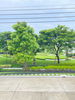 listing thumbnail image 10