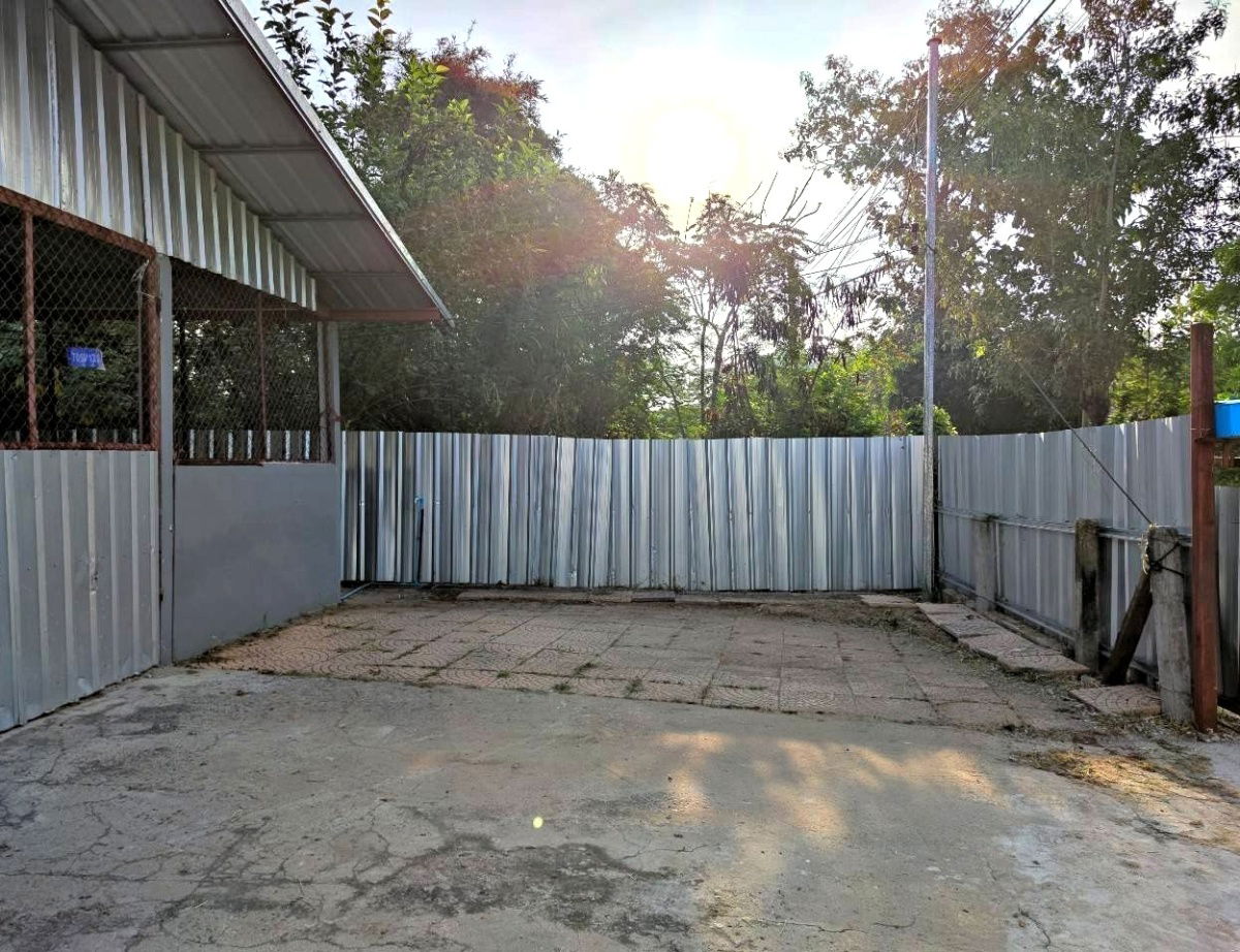รูป บ้านเช่าเดี่ยวใจกลางบ้านไผ่  จอดรถได้ 3 คัน  เลี้ยงสัตว์ได้ - รูปที่ 16/26