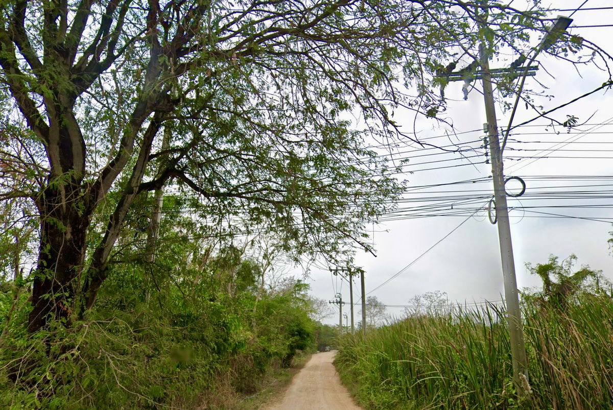 รูป ที่ดินจัดสรร หนองจอก 300 ตร.วา แบ่งแปลง 100 ตร.วา × 3 แปลง - รูปที่ 2/6