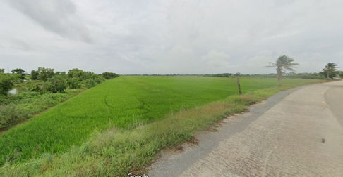 ขาย ที่ดิน ผังสีเขียว ปทุมธานี ลาดหลุมแก้ว ระแหง 45 ไร่ 40 ตรว