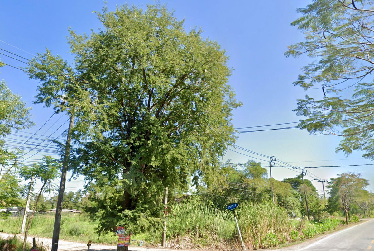 รูป ที่ดินจัดสรร หนองจอก 300 ตร.วา แบ่งแปลง 100 ตร.วา × 3 แปลง - รูปที่ 1/6
