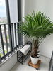listing thumbnail image 4
