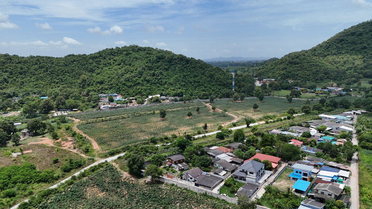 รูป ขายที่ดินทำเลทอง วิวภูเขา ติดถนน บางพระ ศรีราชา, ชลบุรี - รูปที่ 7/23