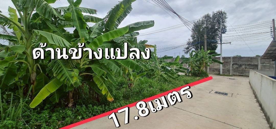 รูป ขายที่ดินทำเลทอง วิวภูเขา ติดถนน บางพระ ศรีราชา, ชลบุรี - รูปที่ 4/23