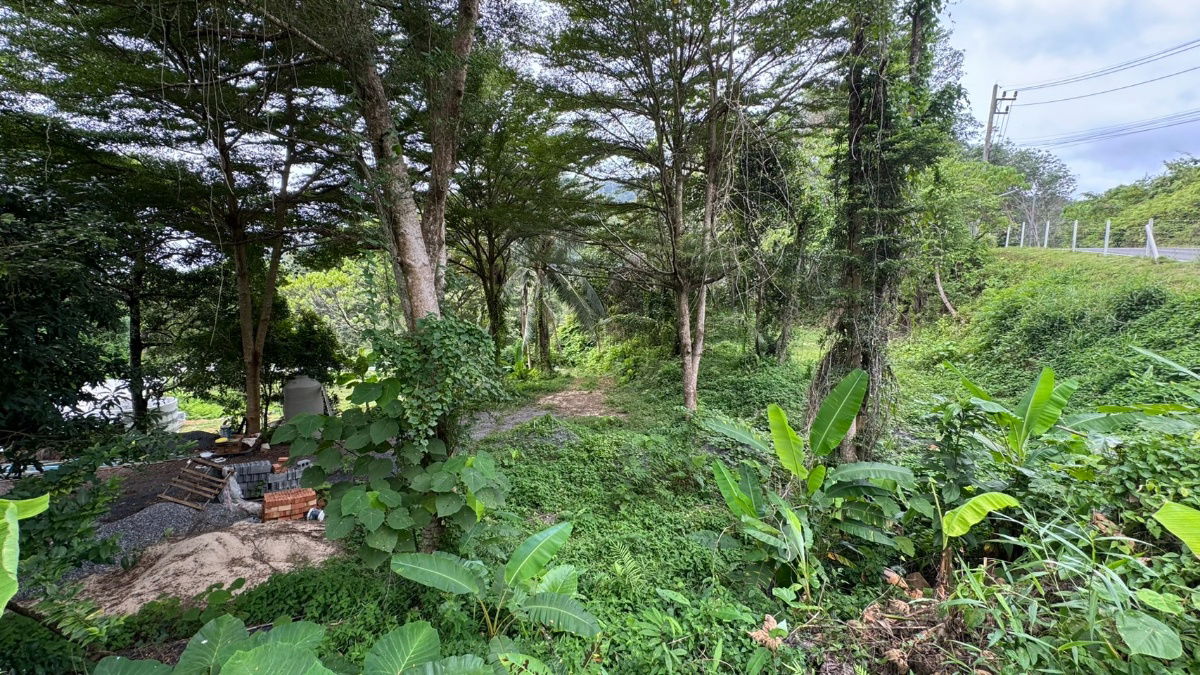 picture For Sale: Ananda Place Resort, Koh Kaew, Mueang District, Phuket Including an additional 1.5 rai of vacant land Total land area: Over 2.5 rai - 29/32