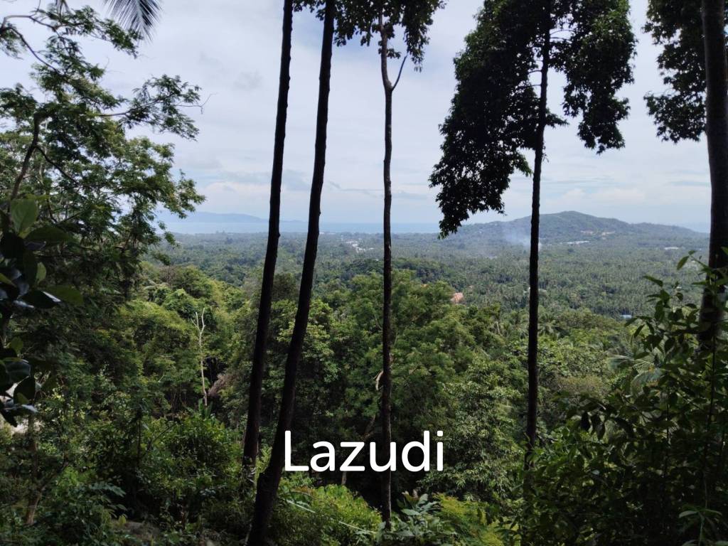 picture Seaview Jungle Land – Koh Phangan - 2/9