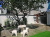 listing thumbnail image 1