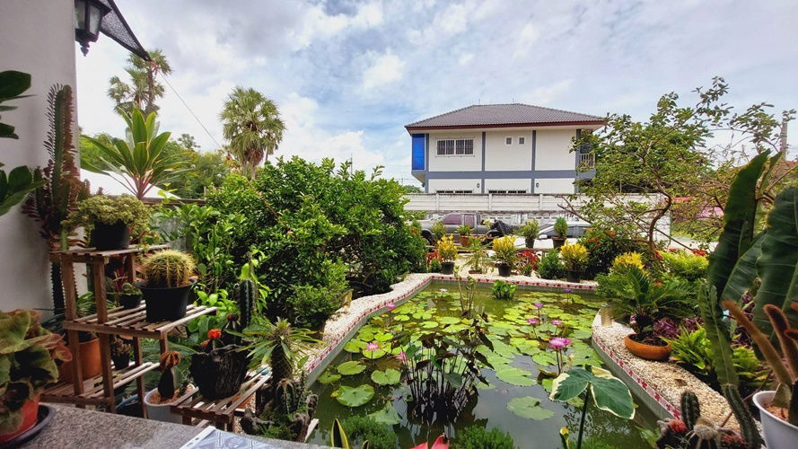 picture Single house for sale, Nong Chok, 300 square wah *only 9.8 million baht* (N.1676) - 6/12