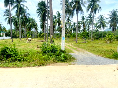 Land for sale : Land for sale in a prime location near the sea, suitable for investment, opening a house, pool villa or living