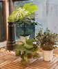 listing thumbnail image 4