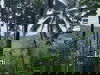 listing thumbnail image 4